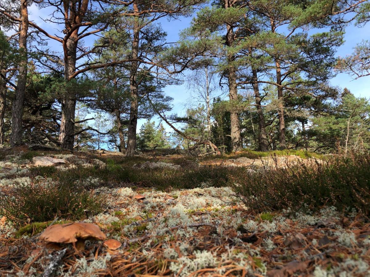 Mysig Och Modern Stuga Pa Snoegard, Naera Havet Och Naturen Lur  Exterior foto
