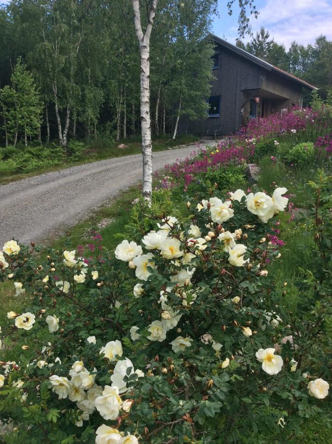 Mysig Och Modern Stuga Pa Snoegard, Naera Havet Och Naturen Lur  Exterior foto